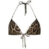 Dolce & Gabbana Leopard Print Bikini Top